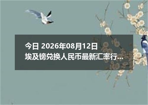 今日 2026年08月12日 埃及镑兑换人民币最新汇率行情